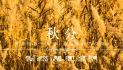 秋分丨晝夜分畫，漸入秋華