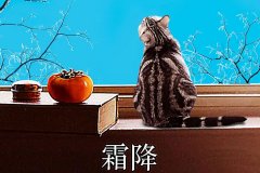 霜降丨縱然霜華盡染，心中美好如初